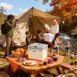 16L Portable Insulated Cooler Box with Ice Pack - Great for Camping, Lunch, Beach & Road Trips — изображение 5