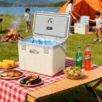 16L Portable Insulated Cooler Box with Ice Pack - Great for Camping, Lunch, Beach & Road Trips